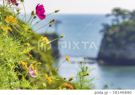 宮城 松島湾浦戸諸島の桂島 58146890