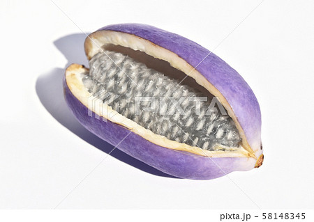 あけび（木通） 58148345