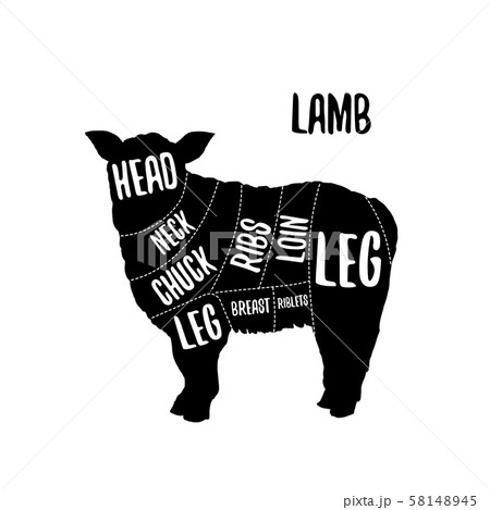 Lamb meat cutting charts vector illustration 58148945