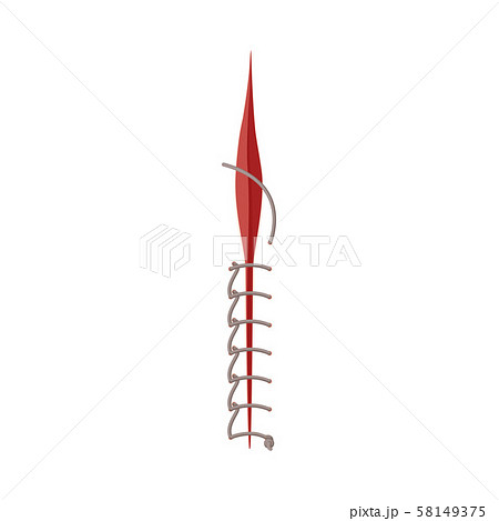 Image Of Lock-Stitch Suture For Wound Isolated On White Background 58149375