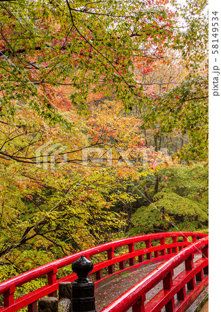 愛知・岩屋堂公園の紅葉 58149534