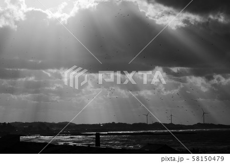 光射す 光射す 58150479