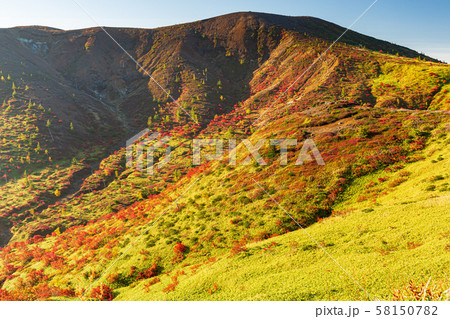 長野・紅葉の志賀高原・朝 58150782