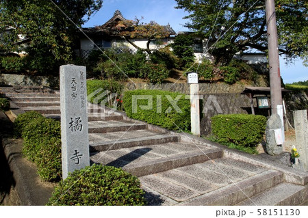 橘寺と彼岸花 58151130