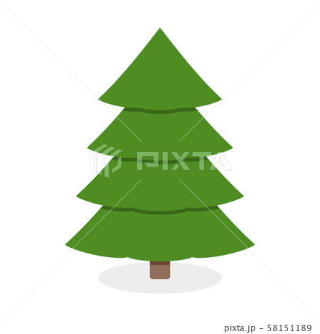 Christmas green tree isolated on white background 58151189