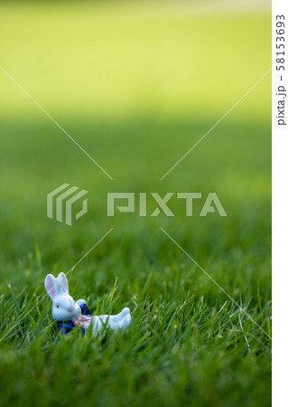 陶器のうさぎ 58153693