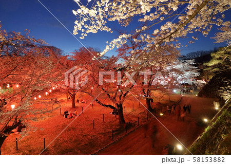 小諸懐古園 桜花見① 58153882