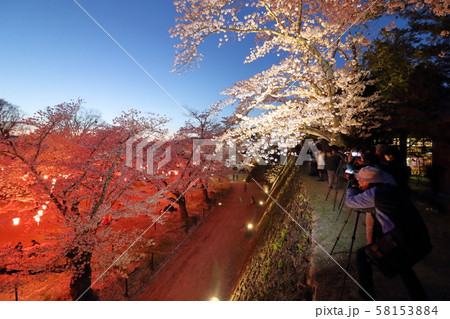 小諸懐古園 桜花見③ 小諸懐古園 桜花見③ 58153884