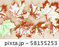 Autumn maple leaves. 58155253