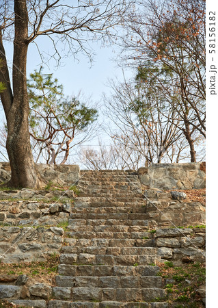 High stone steps in the park. High stone steps in the park. 58156182