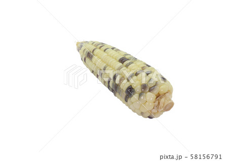 boiled corn ready to eat close up in isolated on 58156791