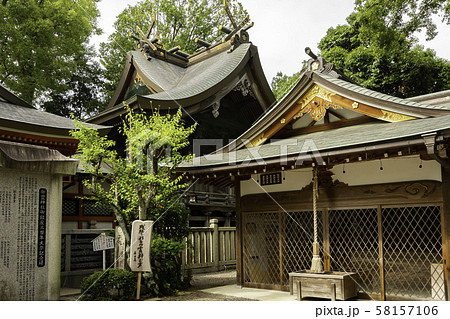 御霊神社 摂末社と本殿 京都府福知山市 御霊神社 摂末社と本殿 京都府福知山市 58157106