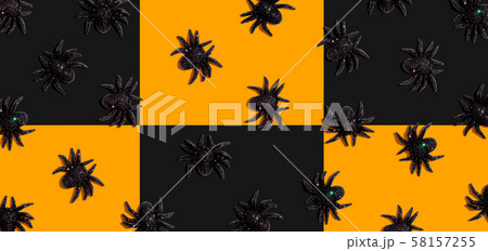 Halloween black spiders 58157255