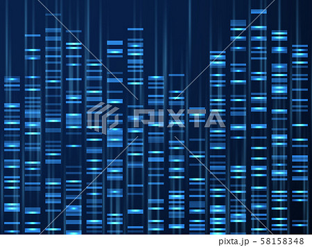 Genomic data visualization. Dna genome sequence, medical genetic map. Genealogy barcode vector Genomic data visualization. Dna genome sequence, medical genetic map. Genealogy barcode vector 58158348