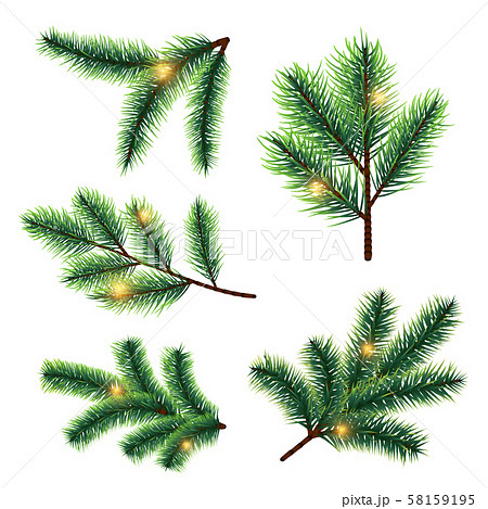 Fir tree branches with lights vector isolated on white background 58159195