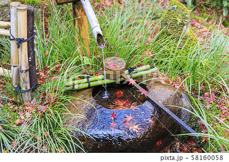 つくばい・秋・もみじの葉 58160058