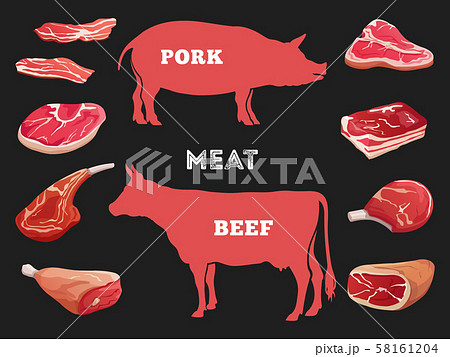 Different cuts of cow and pork meat vector illustration Different cuts of cow and pork meat vector illustration 58161204