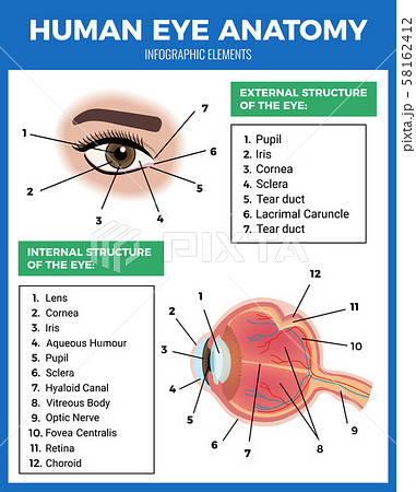 Eye Care Poster Eye Care Poster 58162412