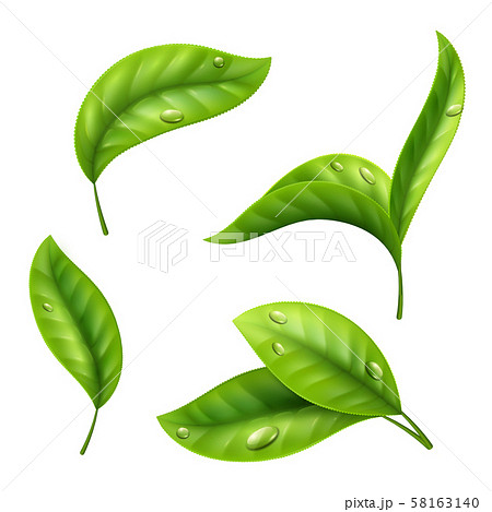 Realistic green tea leaves with drops isolated on white background 58163140