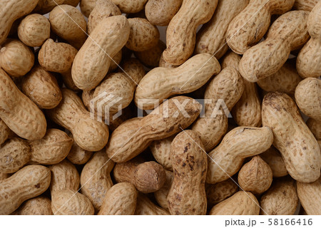 落花生 ピーナッツ 落花生 ピーナッツ 58166416
