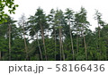 山林 58166436