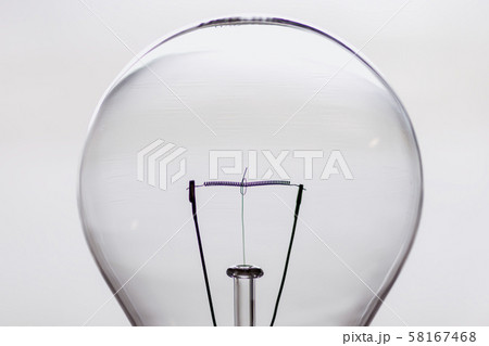 電球Ｍ008 58167468