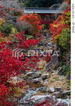三原市　御調八幡の紅葉　 58167494