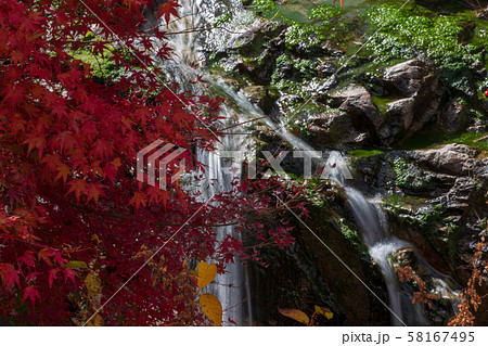 三原市　御調八幡の紅葉　 58167495