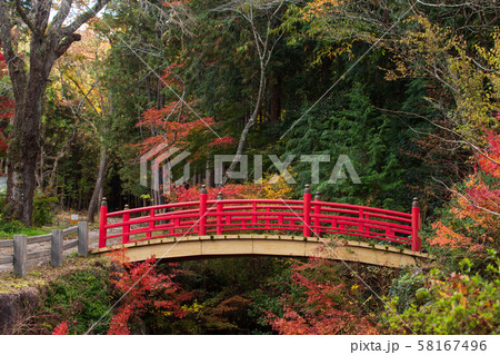 三原市　御調八幡の紅葉　 58167496