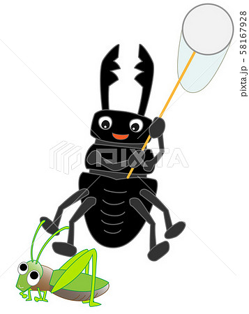 クワガタムシの昆虫採集のイラスト素材