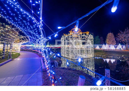 国営アルプスあづみの公園 イルミネーション 冬 穂高・堀金地区 国営アルプスあづみの公園 イルミネーション 冬 穂高・堀金地区 58168885
