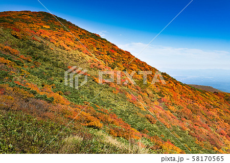 栗駒山紅葉神の絨毯 栗駒山紅葉神の絨毯 58170565