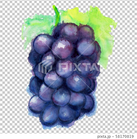 葡萄 和紙手描きにじみ有のイラスト素材