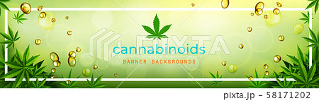 Cannabis or marijauna medical banner vector design. 58171202