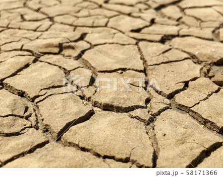 Closeup weathered texture and background of arid 58171366