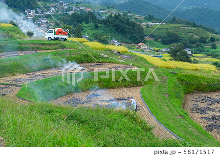 棚田の煙 58171517