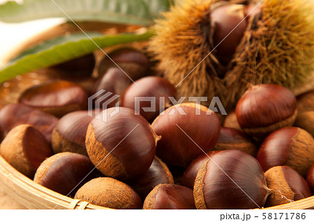 栗　　利平栗 58171786