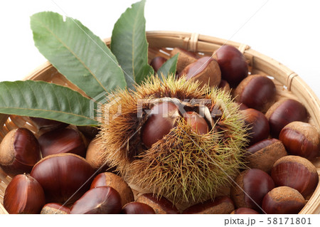 栗　　利平栗 58171801