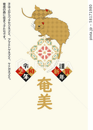奄美　年賀状　2020　子　005 58171980