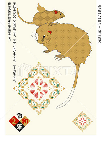 奄美　年賀状　2020　子　001 58171986