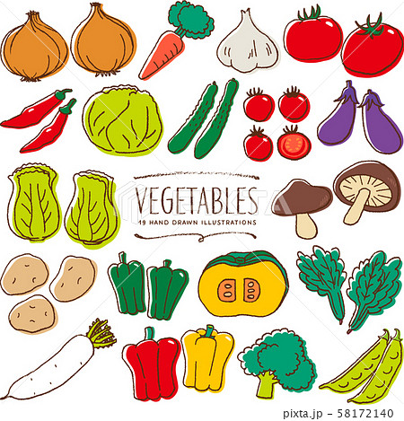 野菜 手描き イラスト 色のイラスト素材 58172140 Pixta