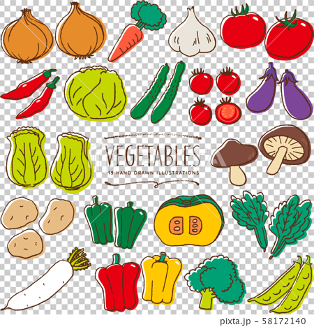 野菜 手描き イラスト 色のイラスト素材