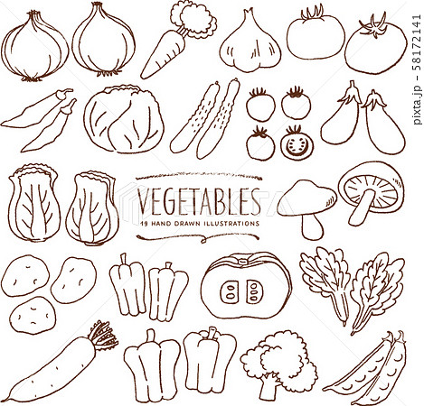 野菜 手描き イラスト 線画のイラスト素材 58172141 Pixta