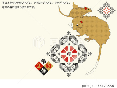 奄美　年賀状　子　2020　041 58173550