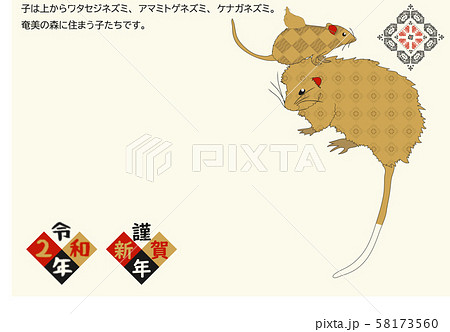 奄美 年賀状 子 2020 043 奄美 年賀状 子 2020 043 58173560