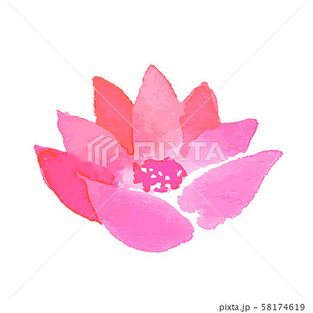 ピンクの花 水彩のイラスト素材