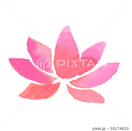 ピンクの花　水彩 58174620