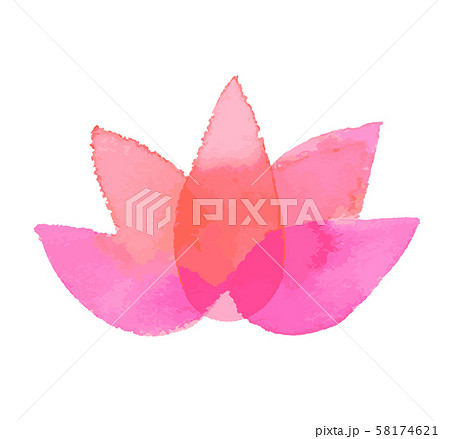 ピンクの花　水彩 58174621
