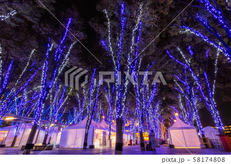 さいたま新都心 けやきひろばイルミネーション 夜景の写真素材