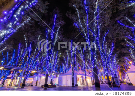 さいたま新都心 けやきひろばイルミネーション 夜景の写真素材